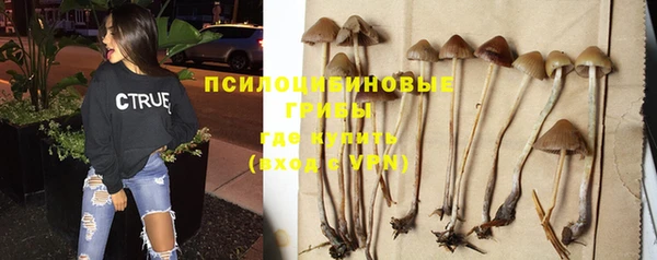 дистиллят марихуана Гусев