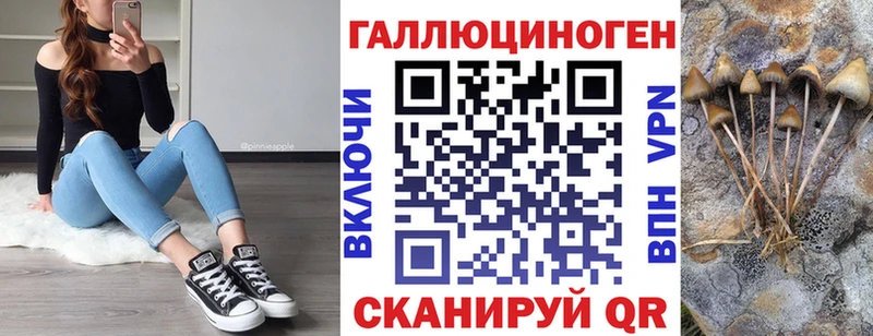 магазин продажи   Норильск  Псилоцибиновые грибы GOLDEN TEACHER 